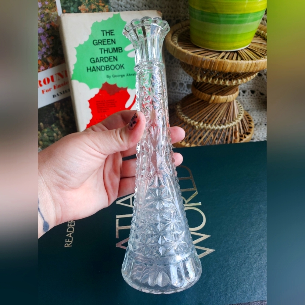 Crystal propagation vase